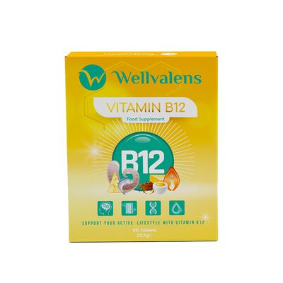 ვიტ B12 1000მკგ#90ტ Wellvalens